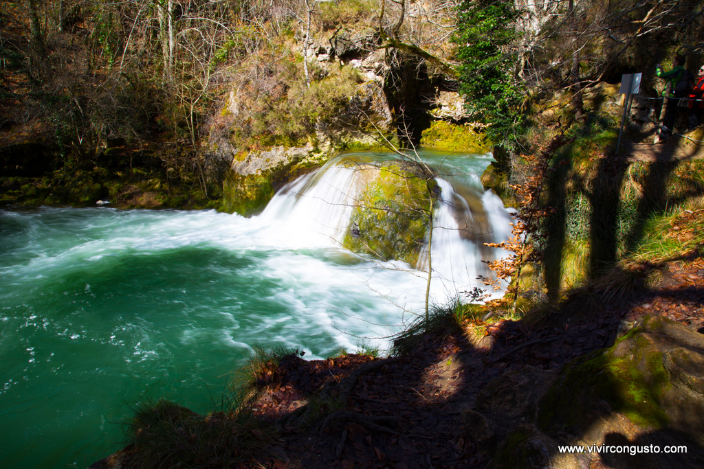 1602_20.Urederra Familia 082 copia