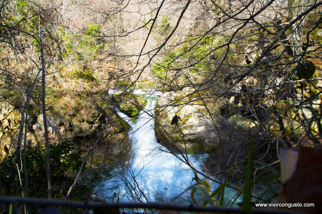 1602_20.Urederra Familia 109 copia