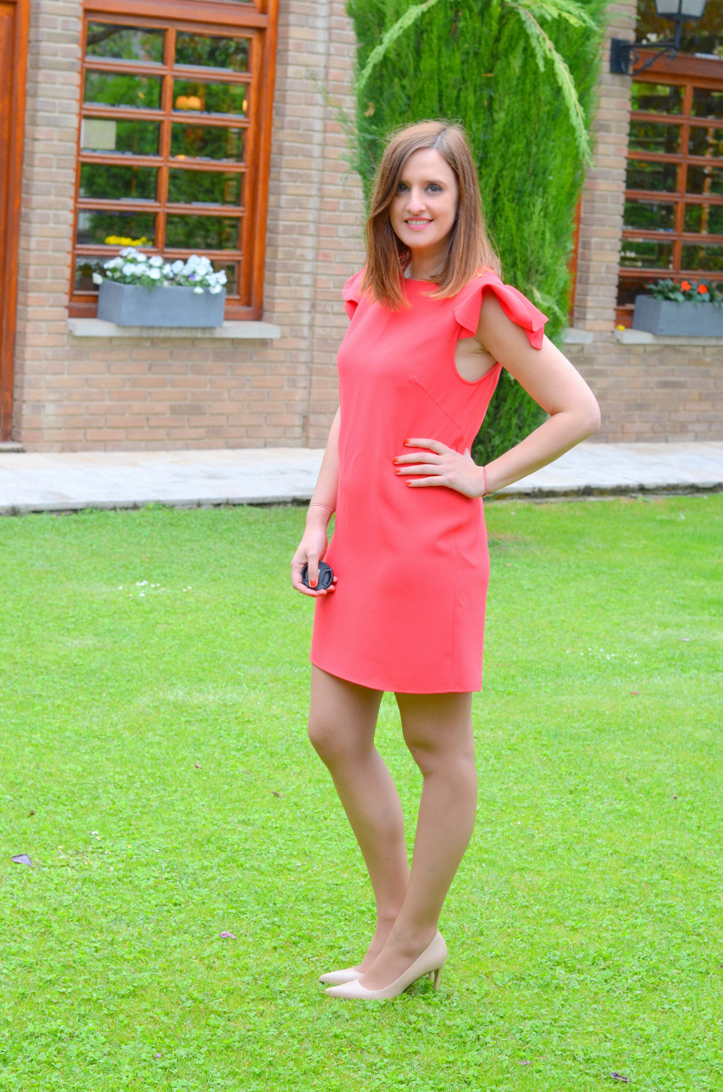 DSC_0466 copia