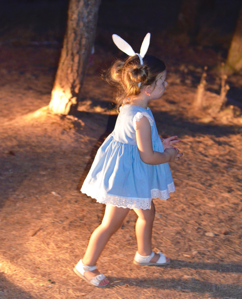 1608-cocina-99-de-99