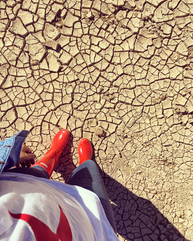 1610-mansilla-88-de-143