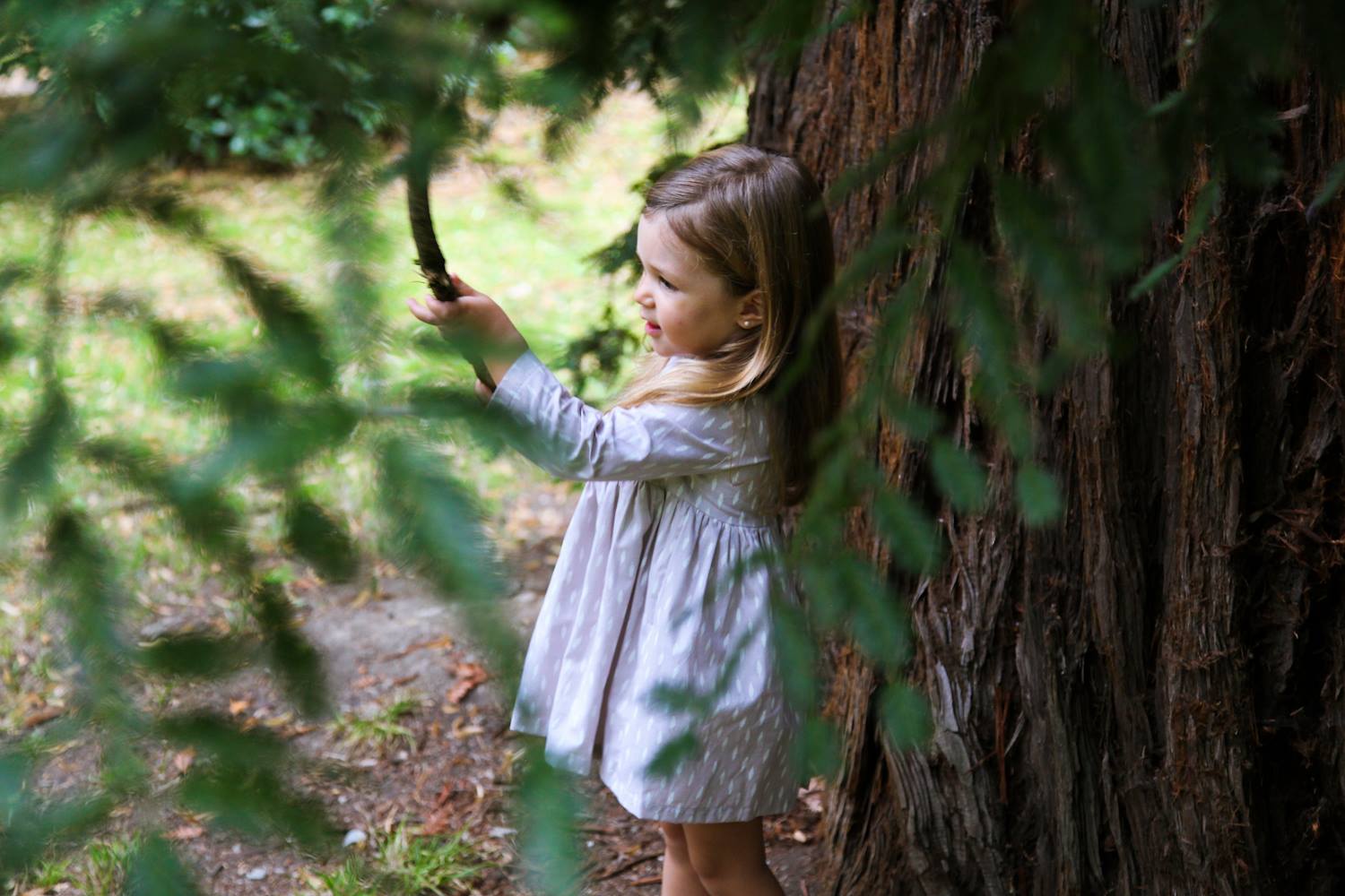 21640976_1072959666140411_1360483696534307237_o